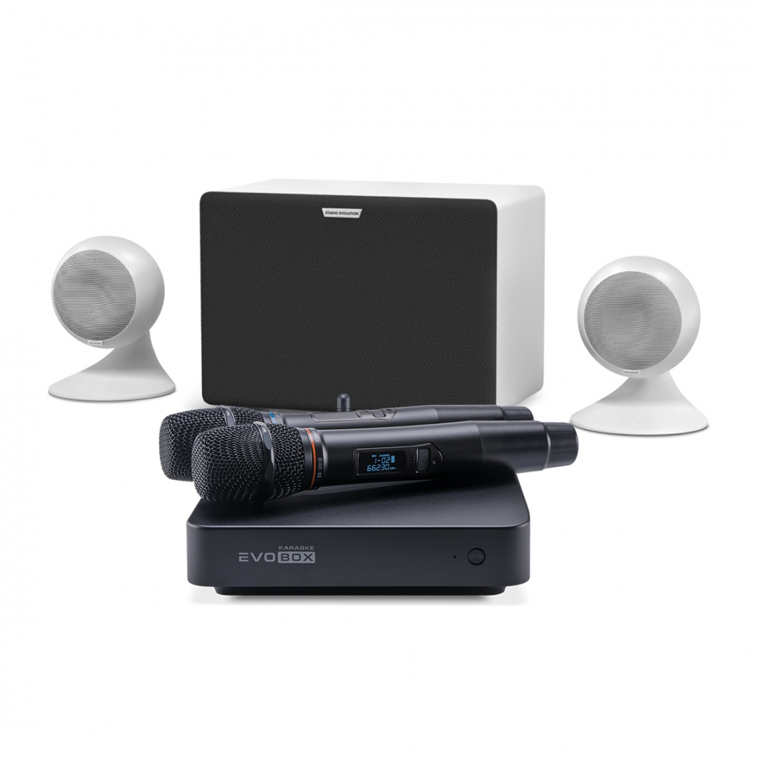 караоке-комплект EVOBOX Classic + EvoSound Sphere 2.1 в Наро-фоминске