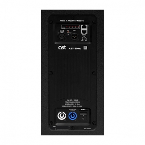 Активная акустическая система AST-310A в Наро-фоминске