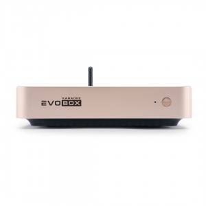 EVOBOX Plus караоке-система для дома в Наро-фоминске